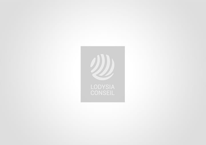 Meilleurs voeux 2025 Lodysia conseil